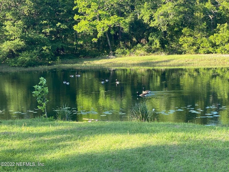 14372 Boney Rd, Jacksonville, FL 32226