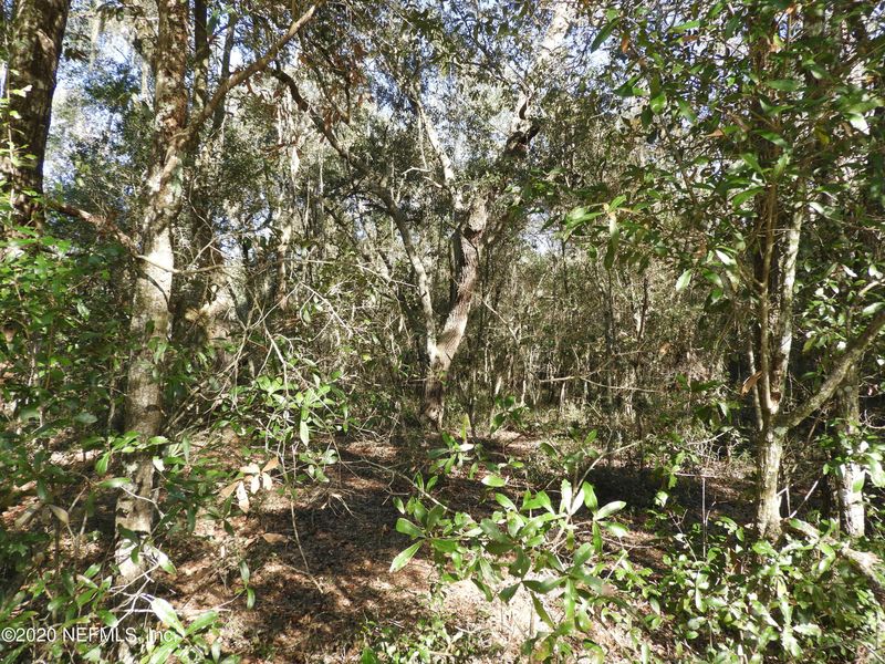 154 Wall Lake Trl, Melrose, FL 32666