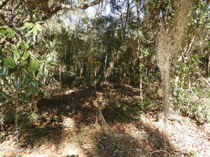 154 Wall Lake Trl, Melrose, FL 32666