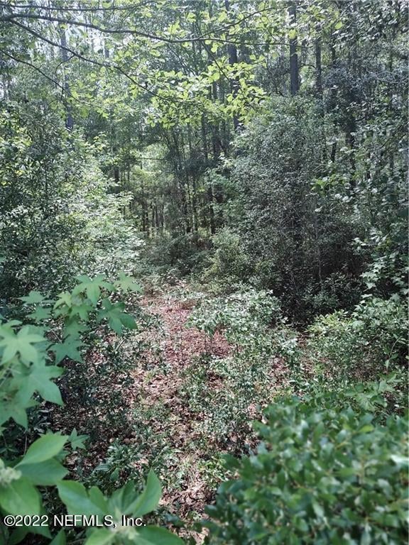 15445 Bullock Bluff Rd, Bryceville, FL 32009