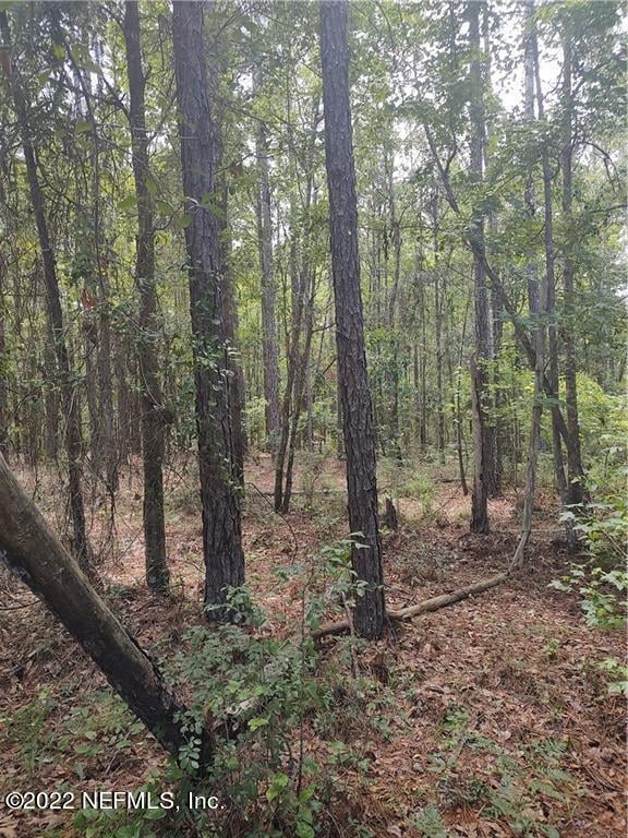 15445 Bullock Bluff Rd, Bryceville, FL 32009