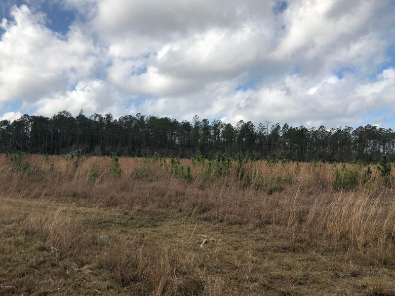 15499 Co Rd 121, Bryceville, FL 32009