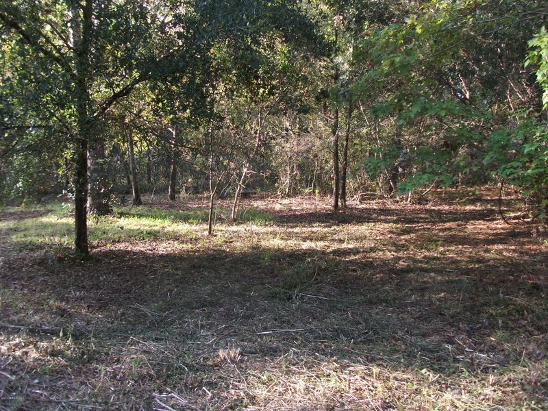 159 Horsetail Ave, Middleburg, FL 32068