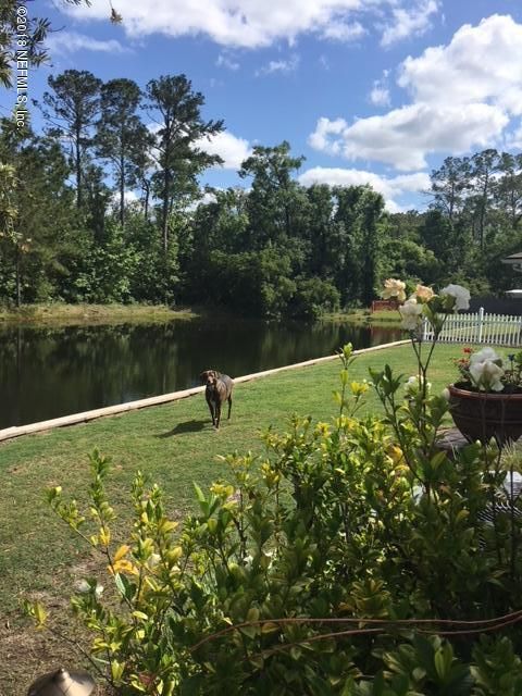1654 Northglen Cir, Middleburg, FL 32068