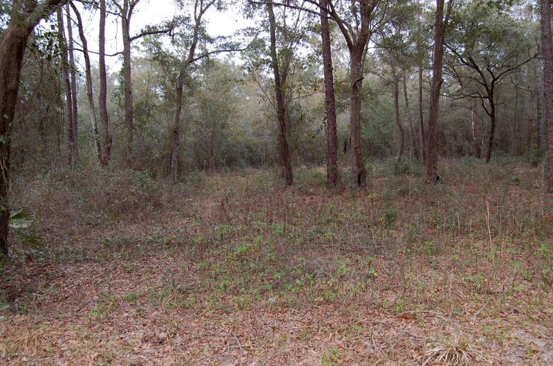16771 Yellow Bluff Rd, Jacksonville, FL 32226