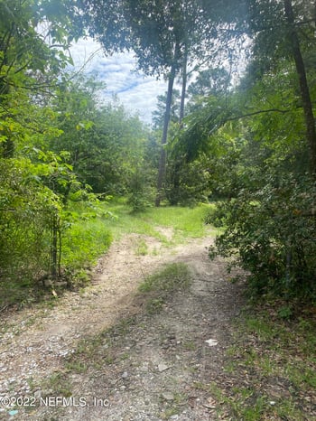 1705 Live Oak Dr, Jacksonville, FL 32246