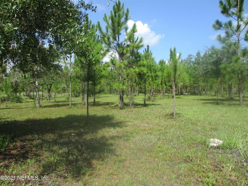 172406 Bay Rd, Hilliard, FL 32046