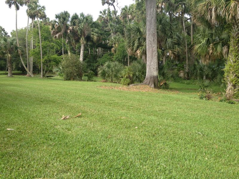 1730 Park Ter E, Atlantic Beach, FL 32233