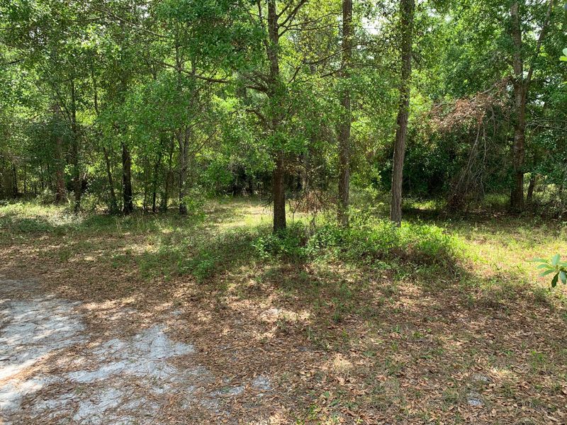 1738 Davids Pl, Middleburg, FL 32068