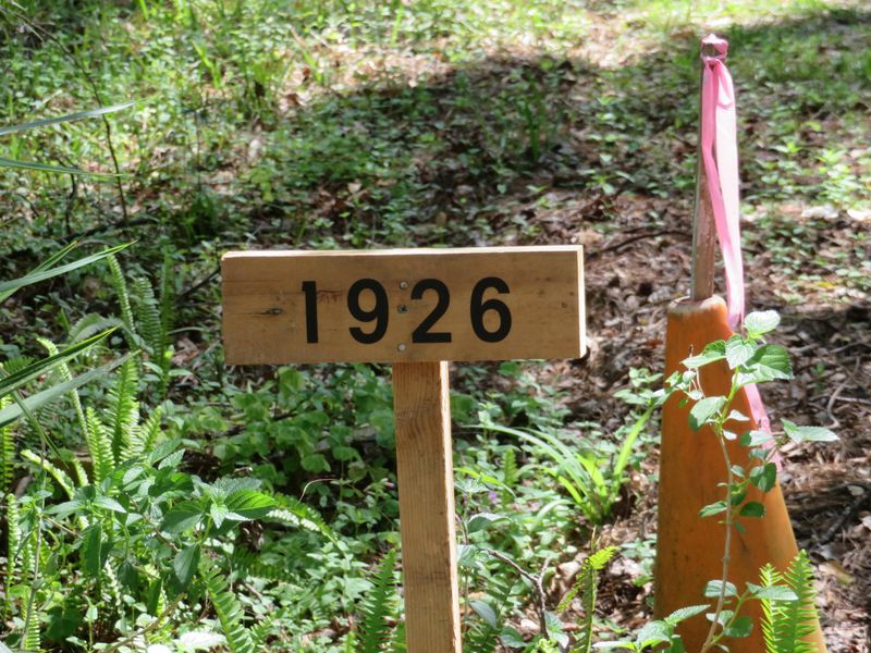 1926 Van Sickle Rd, Jacksonville, FL 32218