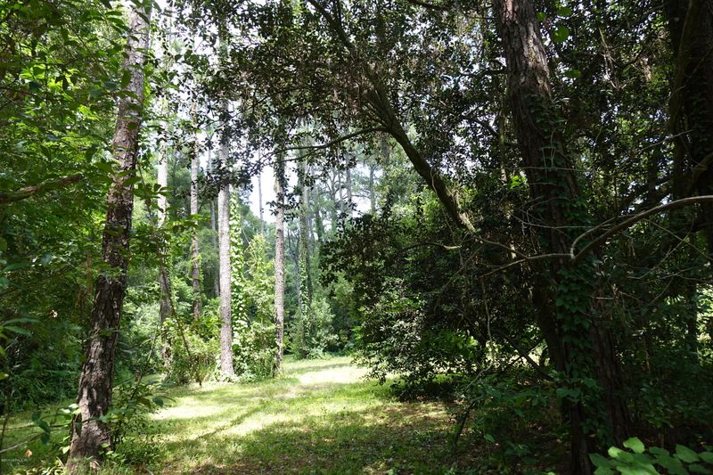 1935 Valencia, Jacksonville, FL 32207