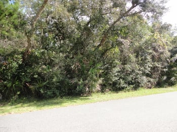 201 - 0 Dartmouth Rd, St Augustine, FL 32086