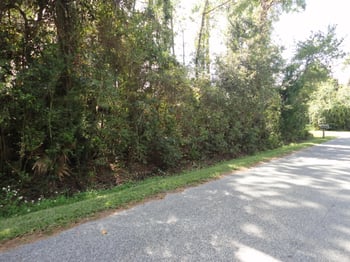 201 - 0 Dartmouth Rd, St Augustine, FL 32086