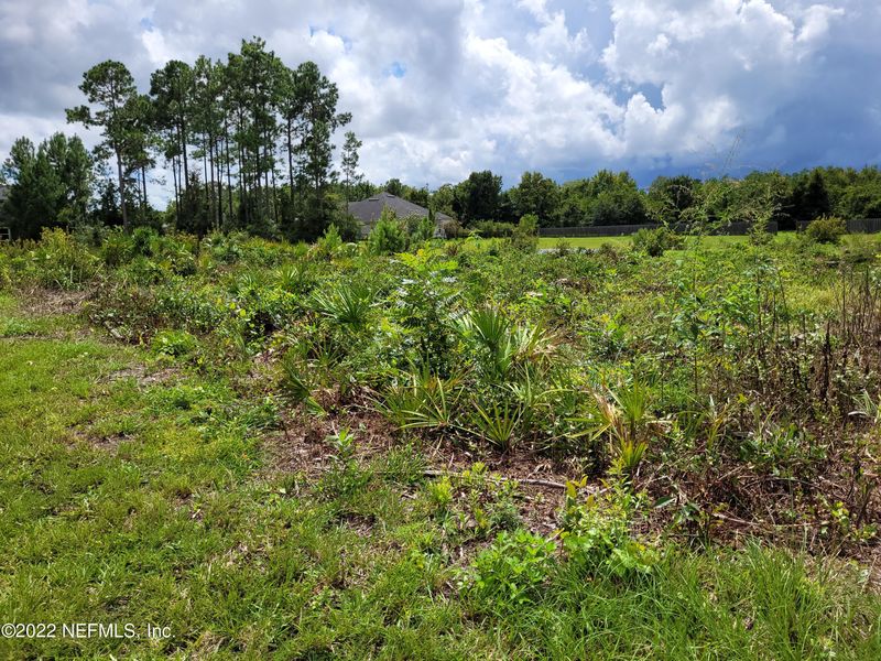 2013 Wedge Ct, Green Cove Springs, FL 32043