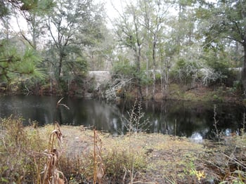 2312 Pages Dairy Rd, Yulee, FL 32097