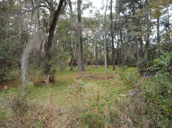 2312 Pages Dairy Rd, Yulee, FL 32097