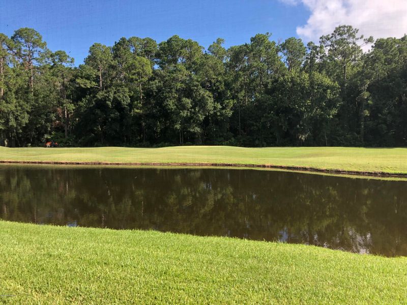 2020 Pond Ridge Ct #902, Fleming Island, FL 32003