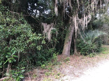 119 Magnolia Ct, Melrose, FL 32666