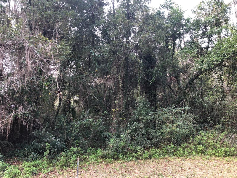 119 Magnolia Ct, Melrose, FL 32666