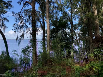 4250 Popolee Rd, St Johns, FL 32259