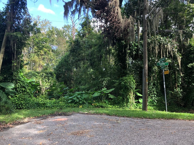 4250 Popolee Rd, St Johns, FL 32259