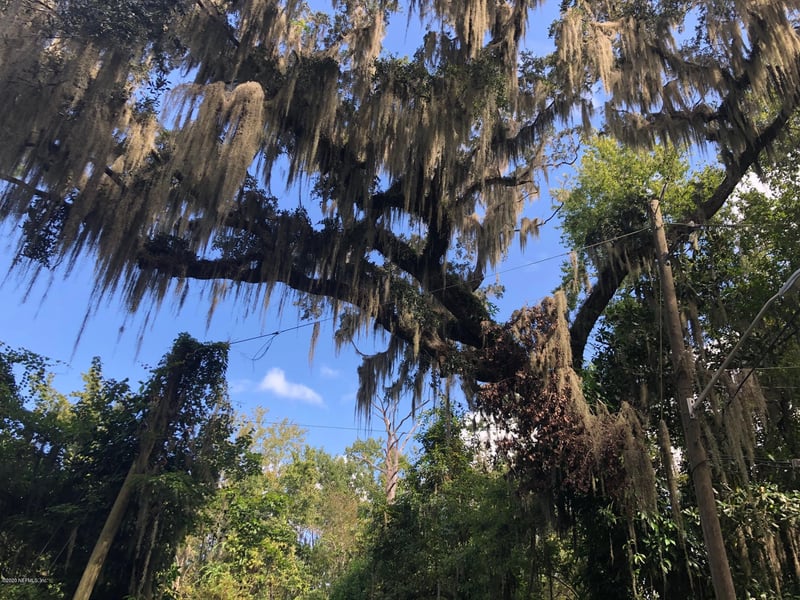 4250 Popolee Rd, St Johns, FL 32259