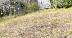 419 State Road 207, East Palatka, FL 32131