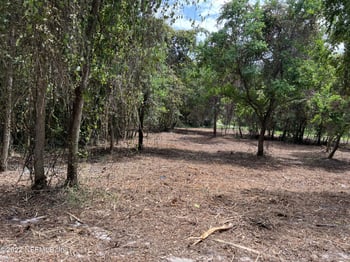 4070 Honeysuckle Cir, Middleburg, FL 32068