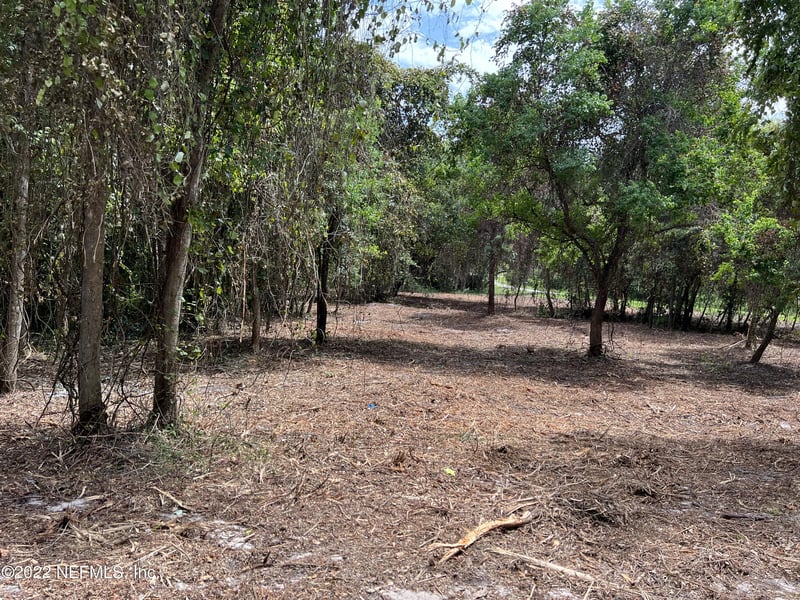 4070 Honeysuckle Cir, Middleburg, FL 32068