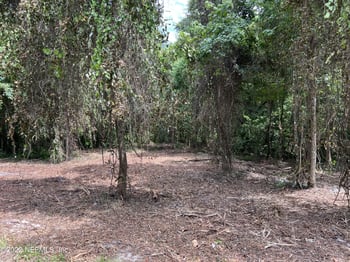 4070 Honeysuckle Cir, Middleburg, FL 32068