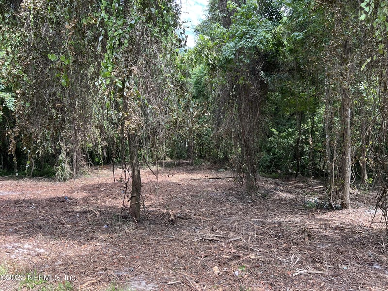 4070 Honeysuckle Cir, Middleburg, FL 32068