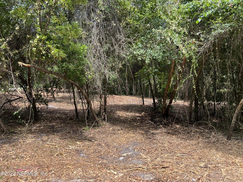 4070 Honeysuckle Cir, Middleburg, FL 32068