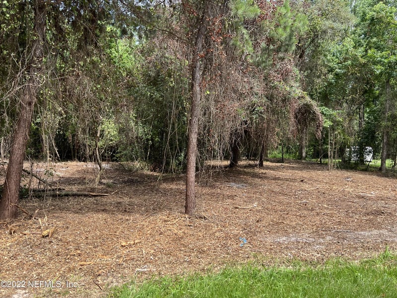 4070 Honeysuckle Cir, Middleburg, FL 32068