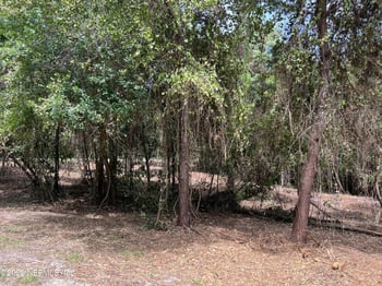 4070 Honeysuckle Cir, Middleburg, FL 32068