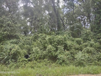 0260 Wilson Dr, Interlachen, FL 32148