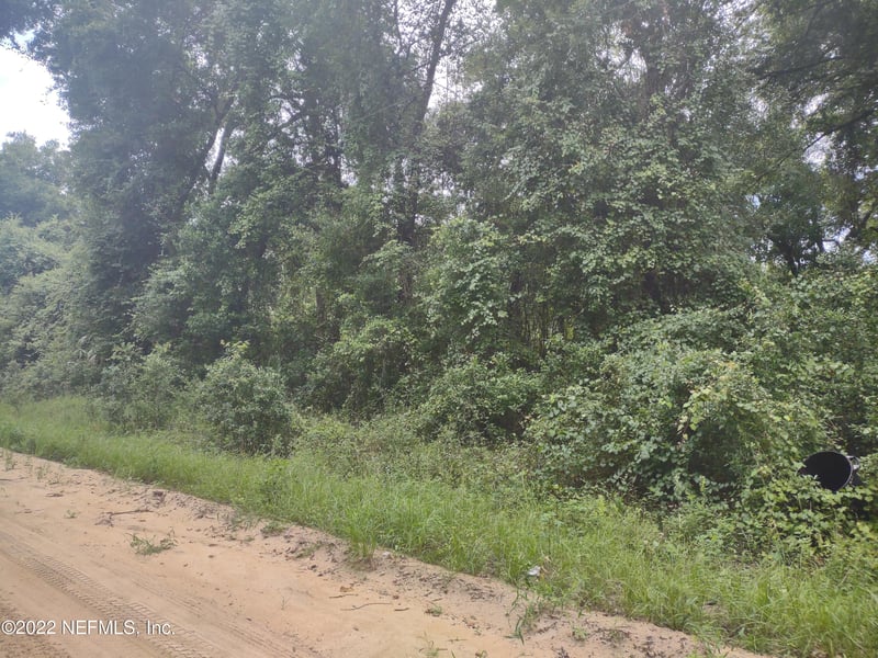 0260 Wilson Dr, Interlachen, FL 32148