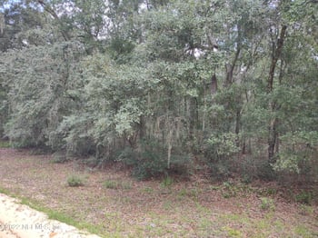 0040 Brett Ave, Interlachen, FL 32148