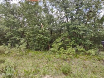 24 Neilsen Ave, Interlachen, FL 32148