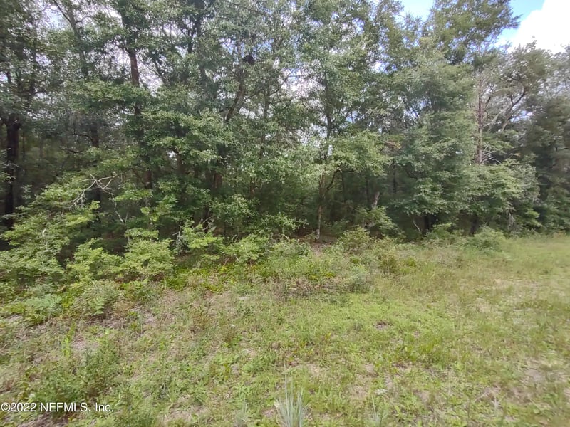 24 Neilsen Ave, Interlachen, FL 32148