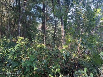 0 Lola Dr, Jacksonville, FL 32210