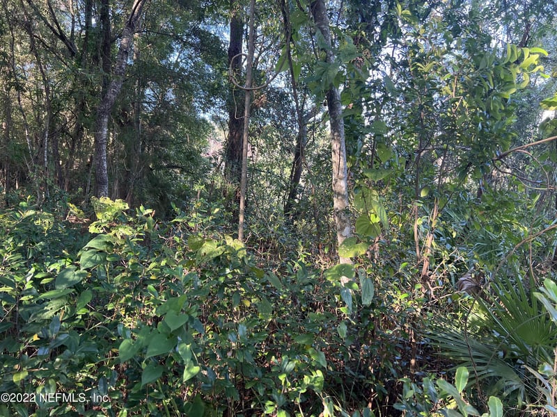 0 Lola Dr, Jacksonville, FL 32210
