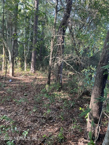 0 Lola Dr, Jacksonville, FL 32210
