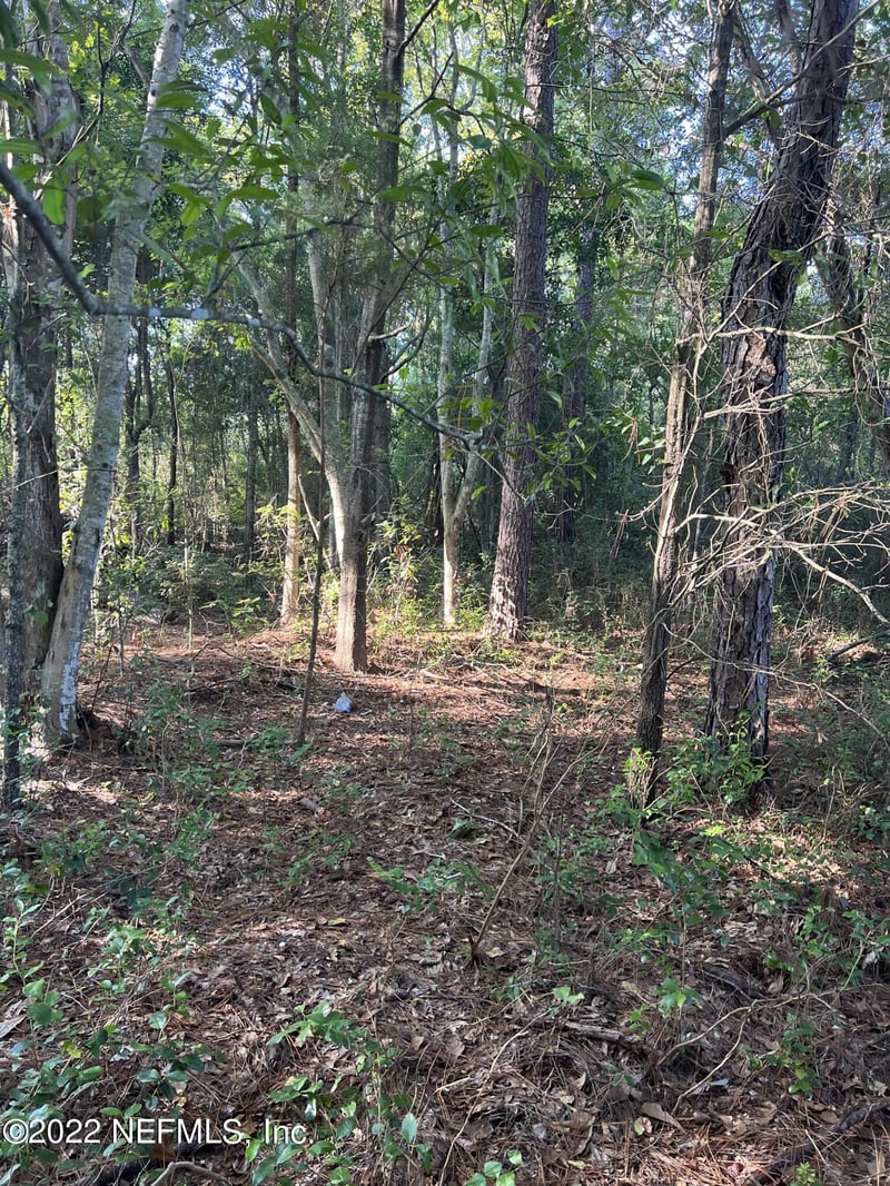 0 Lola Dr, Jacksonville, FL 32210