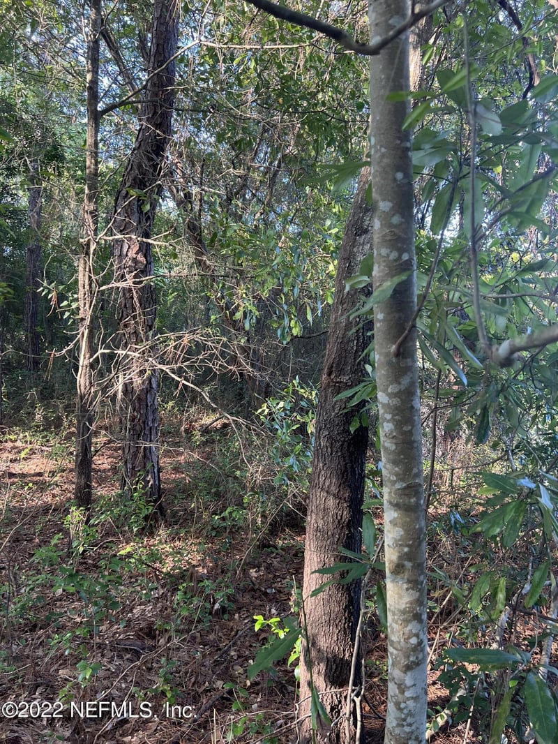 0 Lola Dr, Jacksonville, FL 32210