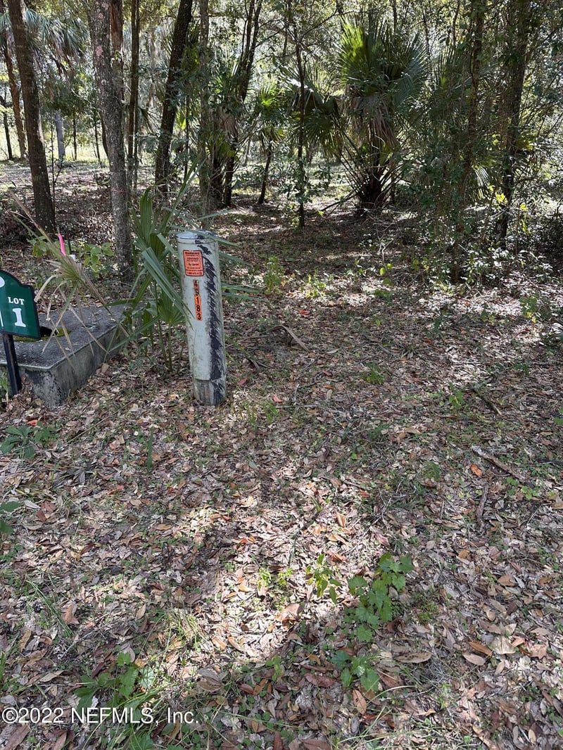 00-01 159th Ln, Umatilla, FL 32784