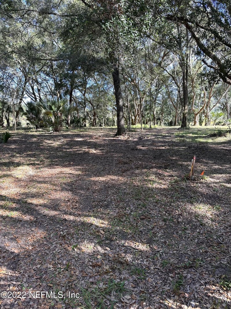 00-01 159th Ln, Umatilla, FL 32784