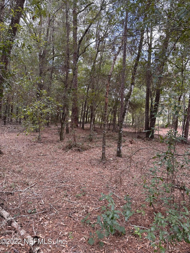 00-13 265th Court Rd, Umatilla, FL 32784