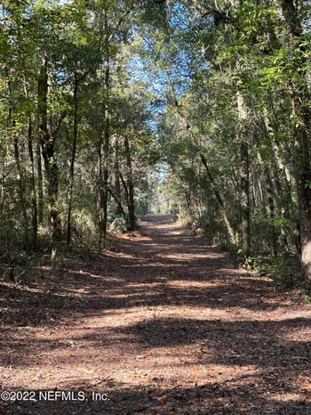 0 Foxtail Ave, Middleburg, FL 32068