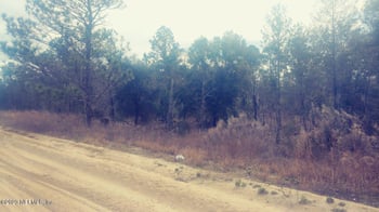 521 Interlachen Blvd, Interlachen, FL 32148