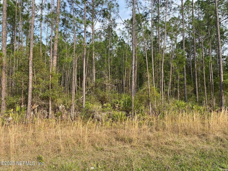 AAA Cr 315 , Interlachen, FL 32148